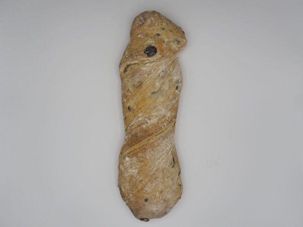 panaceituna1